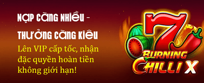 Explore Jili Slot Games